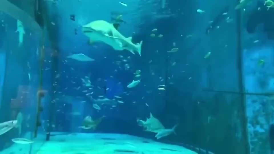 一座园、一片湖、一群鸟 山西潞州绘就美丽生态画卷